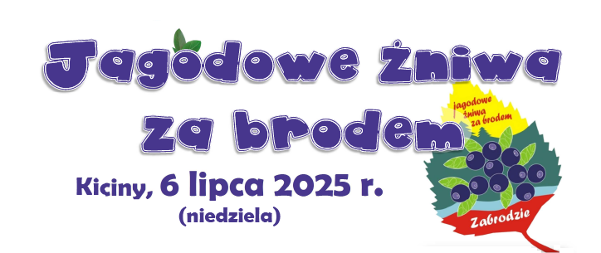 Jagodowe żniwa za brodem. Kiciny 6 lipca 2025 niedziela. 