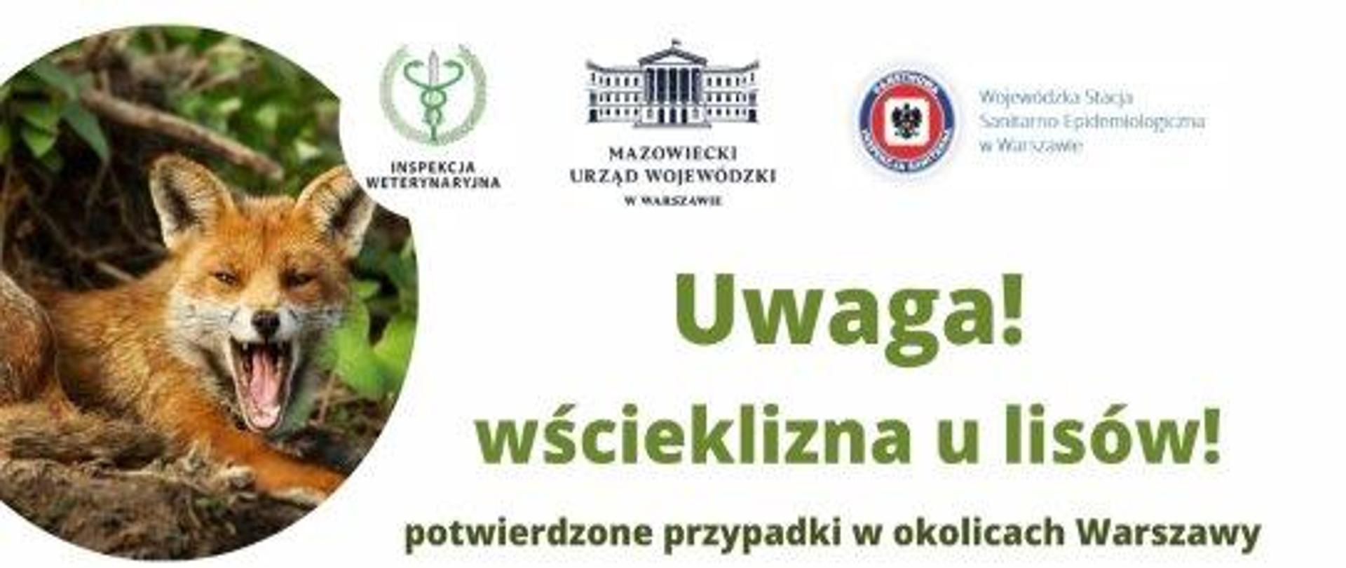 Plakat Uwaga wścieklizna u lisów