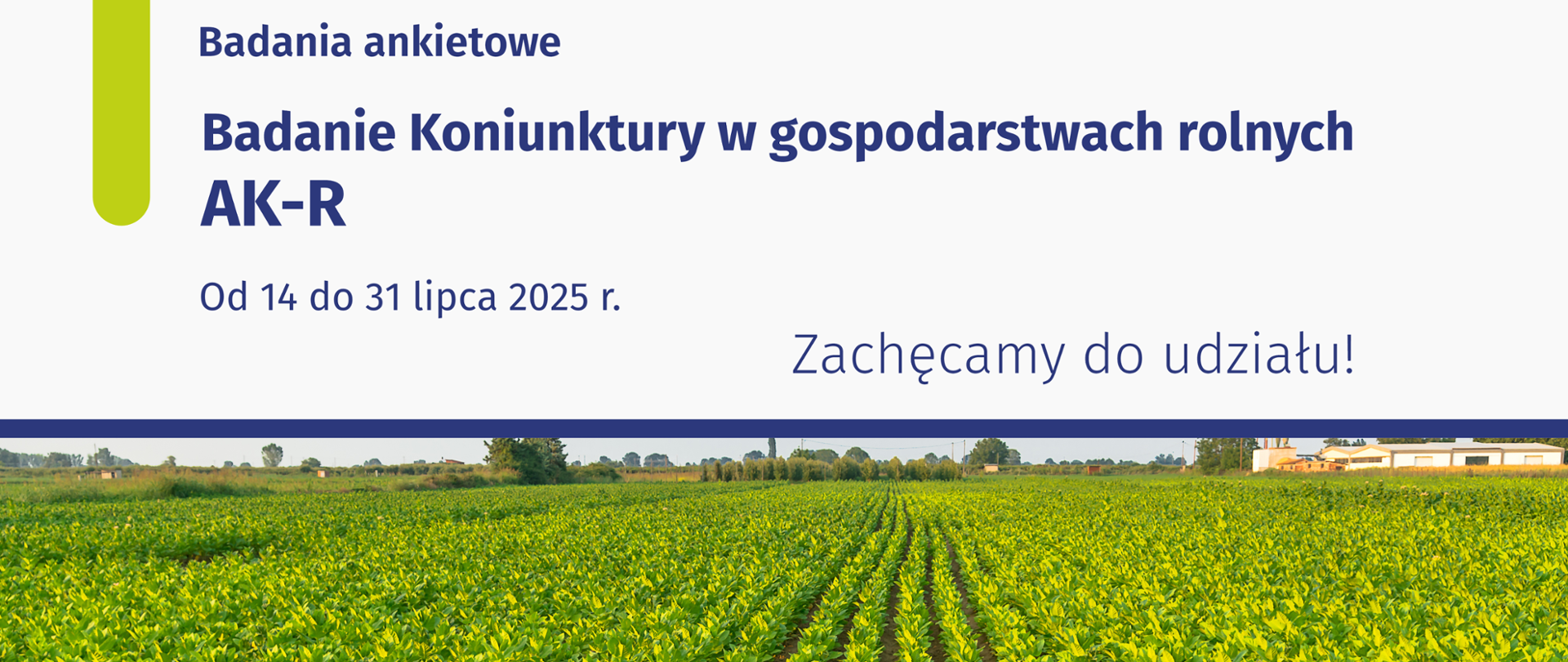 Plansza Badanie AK-R