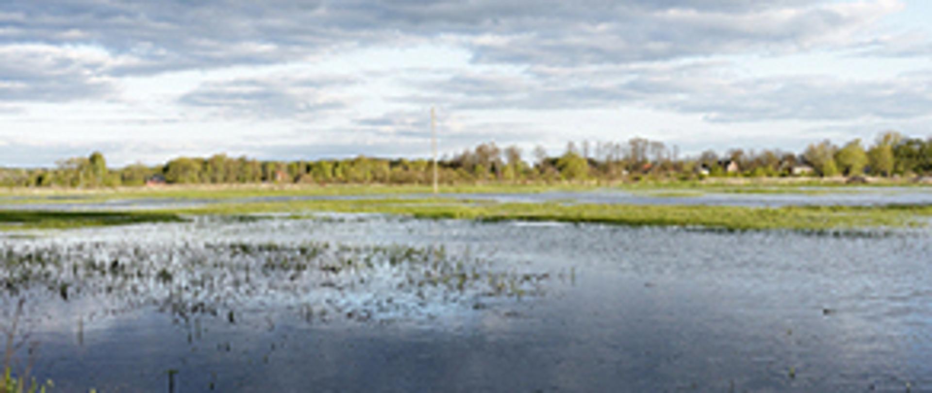 Rozlewiska - zdjęcie