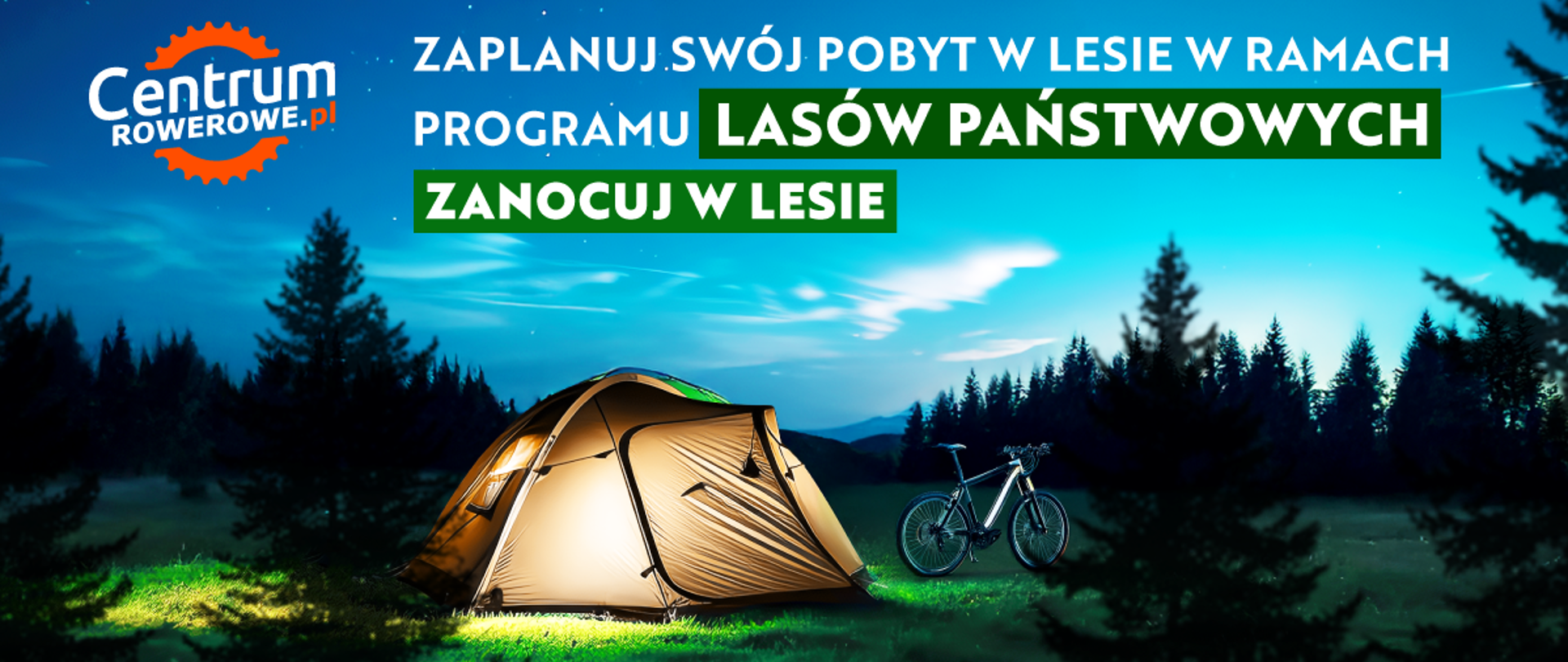 Zanocuj w lesie