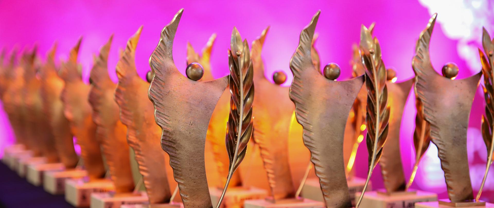 Zdjęcie przedstawia ustawione w szeregach na stole wykonane z metalu statuetki. Statuetka przypomina sylwetkę człowieka z uniesioną do góry jedną ręką, drugą przytrzymuje gałązkę laurową. Postać jest ustawiona na małej podstawie, na której znajduje się Herb Powiatu Kraśnickiego, nazwa nagrody "Laur Przedsiębiorczości" oraz data wydarzenia: 19 marca 2024 r. Statuetki są oświetlone pomarańczowym ciepłym światłem. Całość znajduje się na oświetlonym na różowo tle.