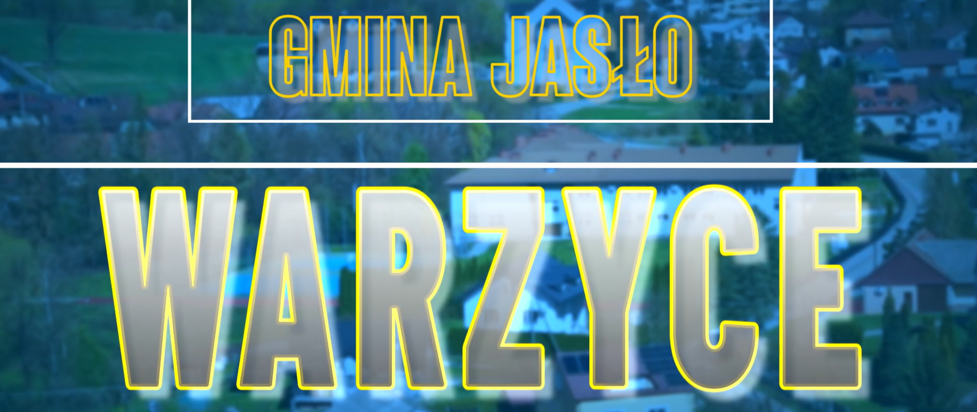 Warzyce