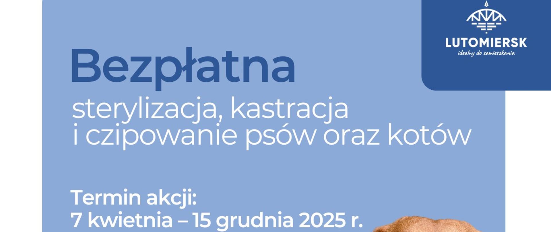 bezpłatna sterylizacja, kastracja i czipowanie psów oraz kotów