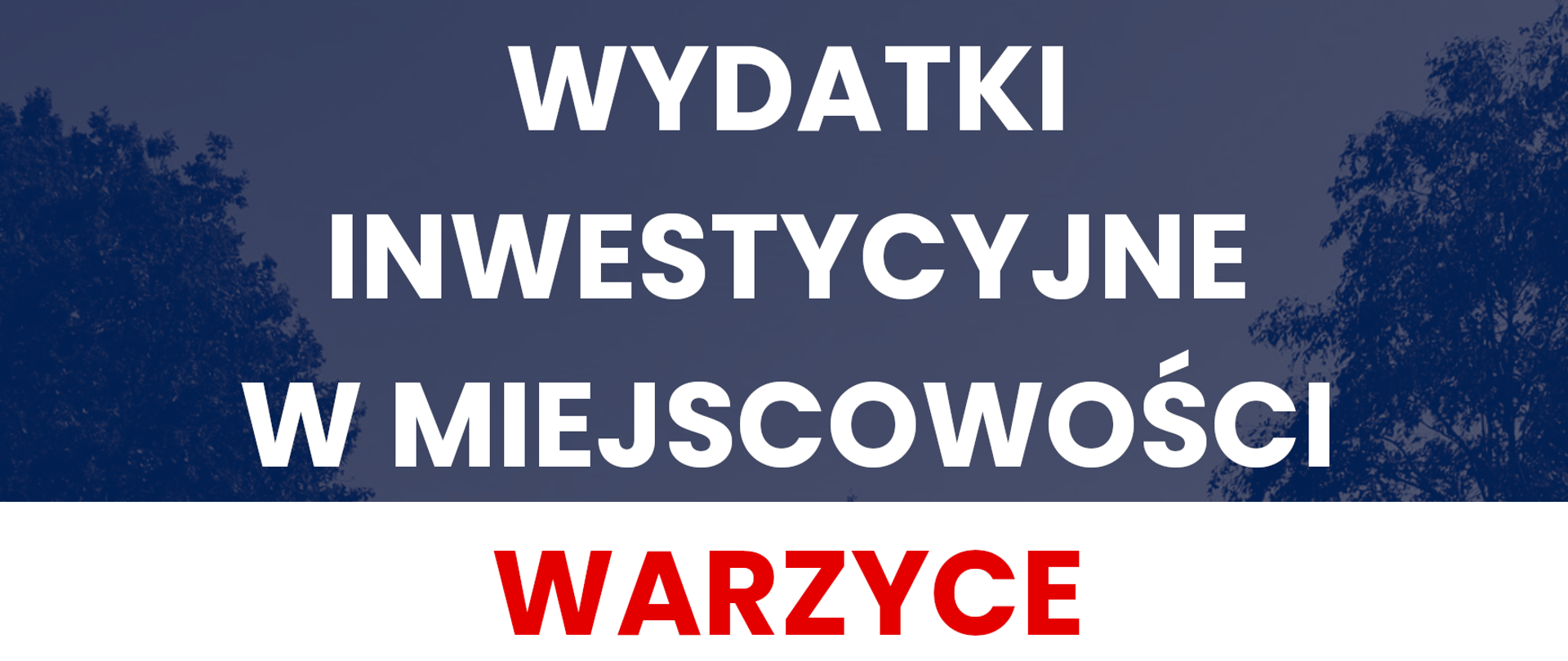 Warzyce