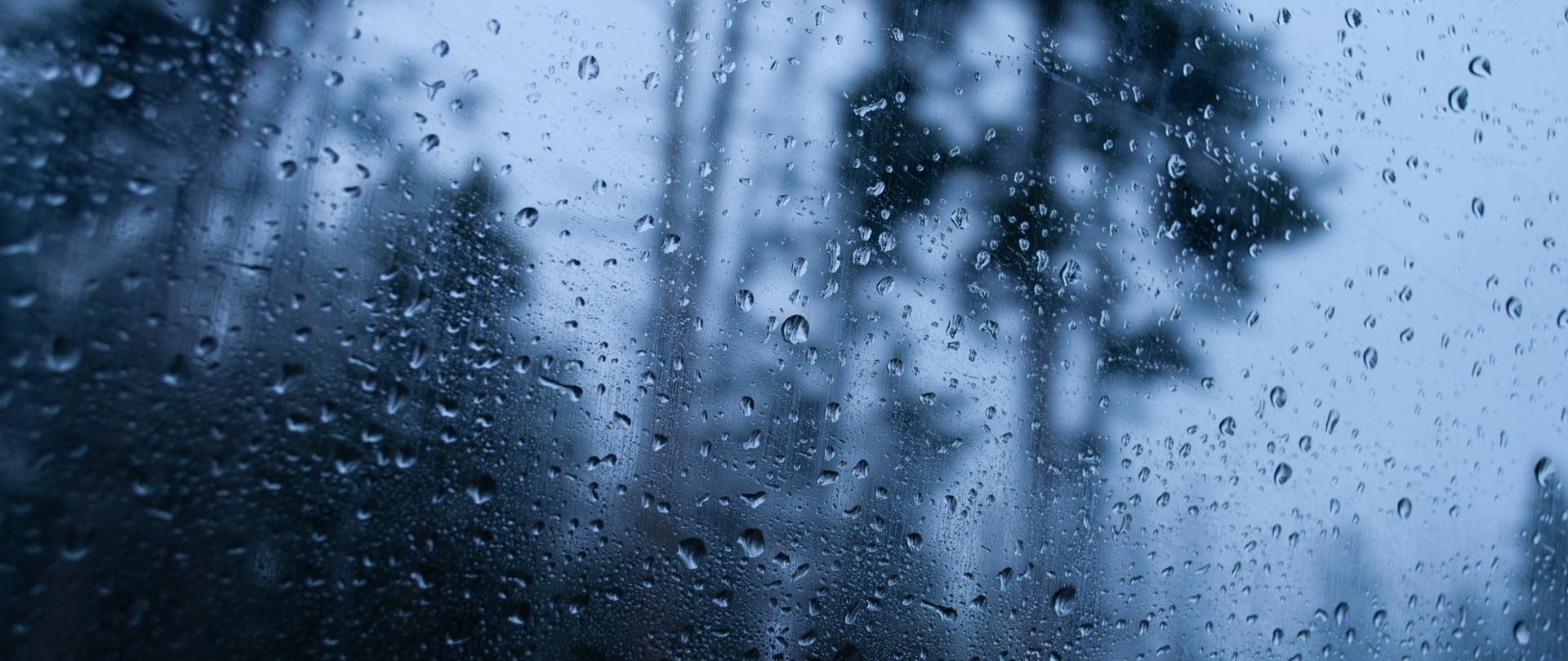 Zbliżenie na mokre szkło odbijające krajobraz lasu deszczowego