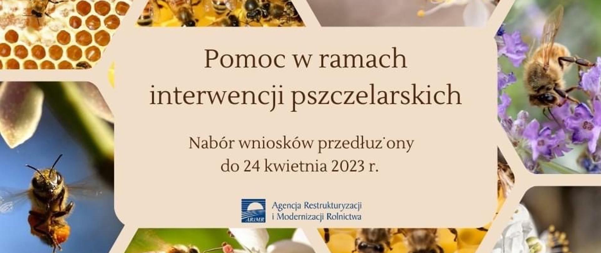 Nabór wniosków o dofinansowanie w ramach 3 interwencji pszczelarskich finansowanych z budżetu Planu Strategicznego dla Wspólnej Polityki Rolnej na lata 2023-2027 został przedłużony do 24 kwietnia 2023 r. Dokumenty przyjmowane są jedynie za pośrednictwem Platformy Usług Elektronicznych ARiMR
