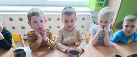 Dzieci przygotowują sadzonki