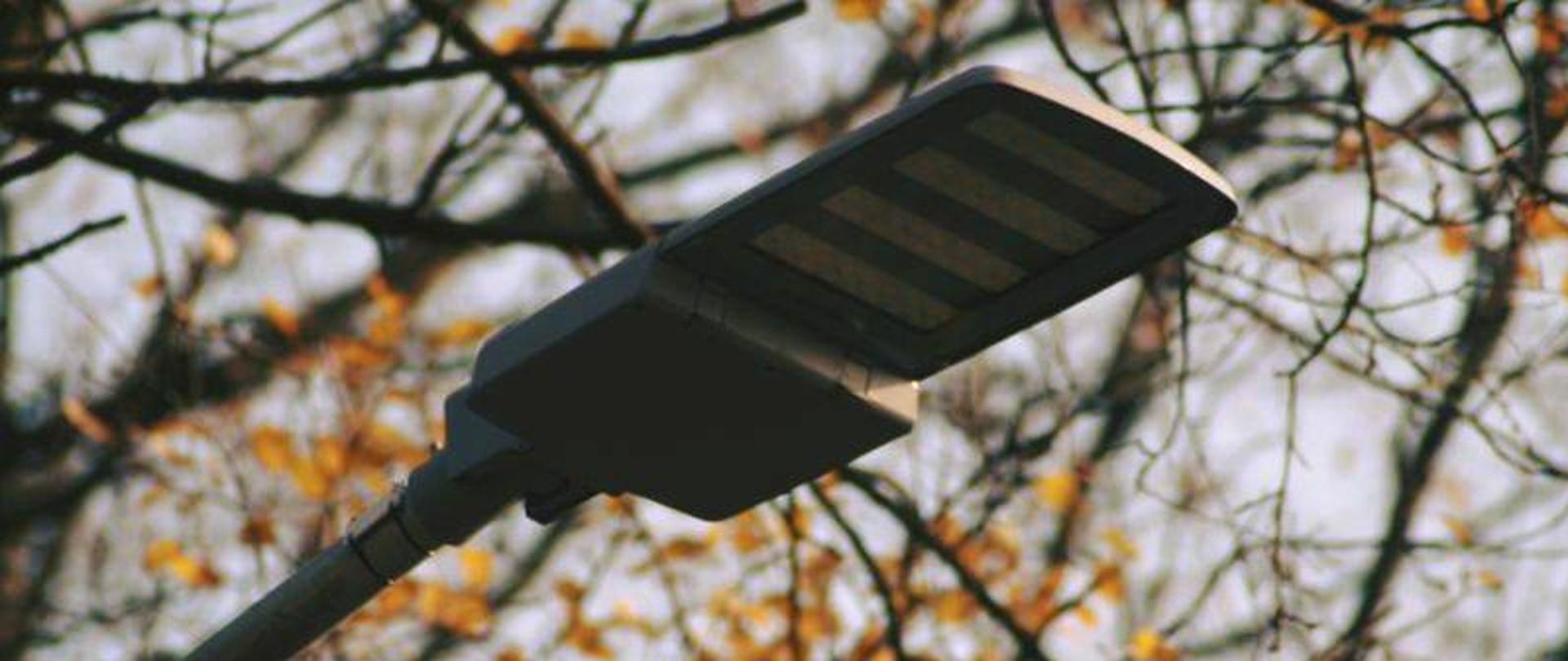 Lampa LED w oprawie oświetleniowej montowanej na słupie, za nią gałęzie drzew z pożółkłymi liśćmi