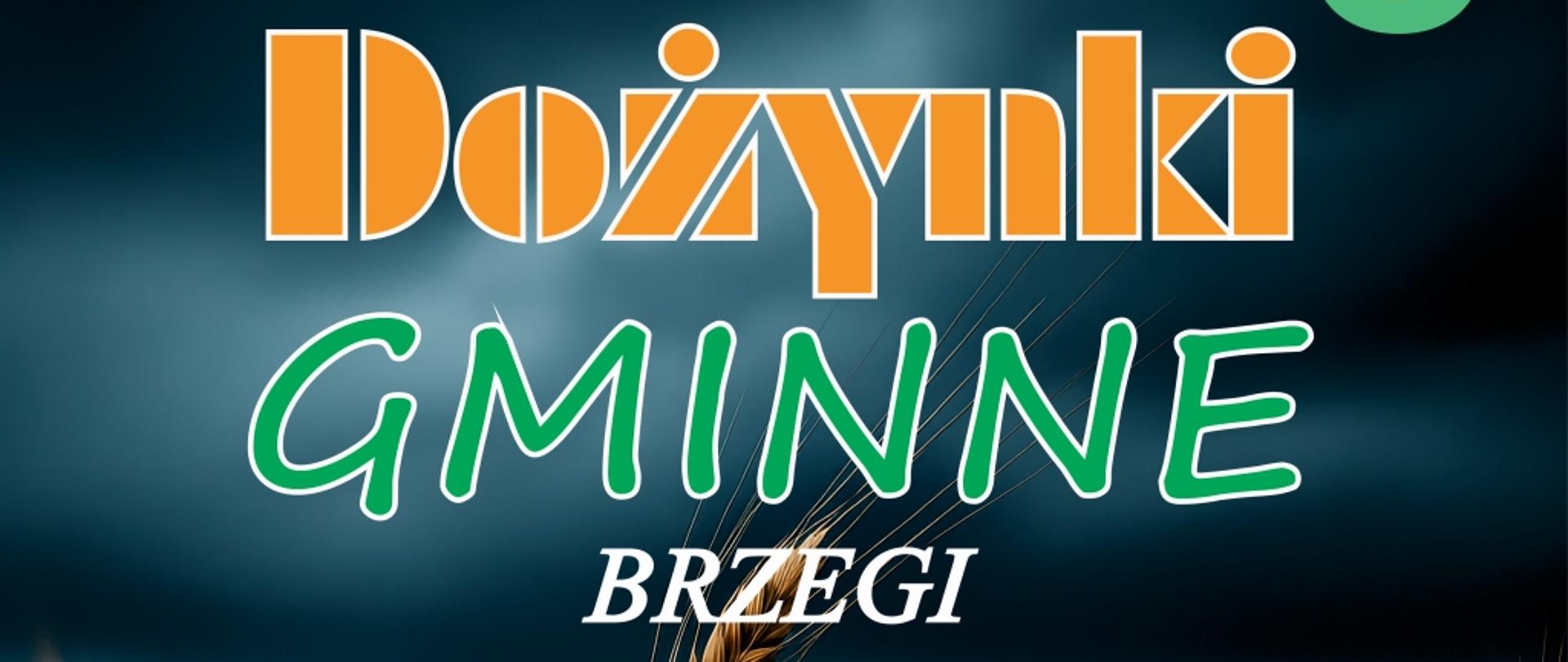 Dożynki Gminne - zaproszenie