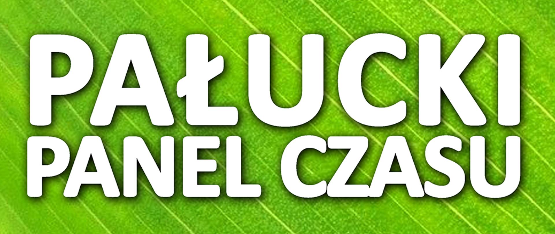 Pałucki Panel Czasu - plakat