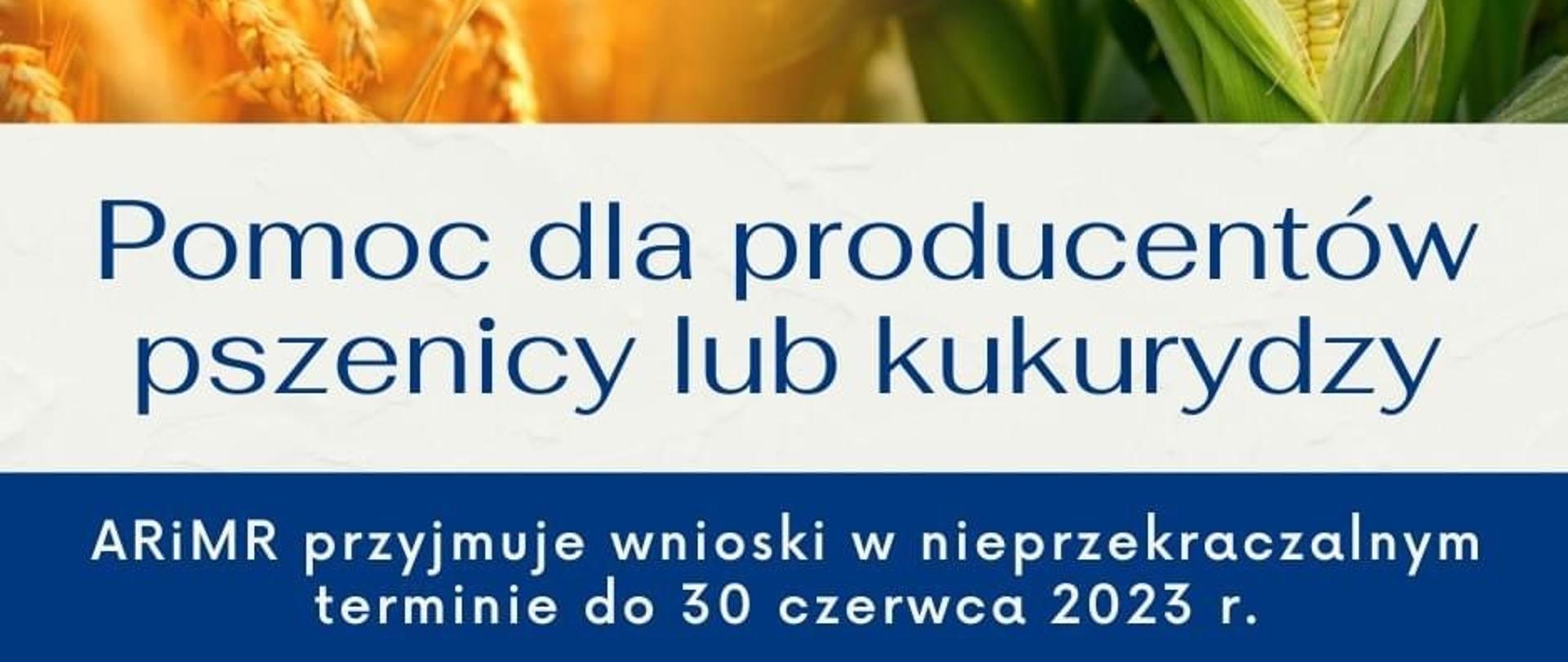 Agencja Restrukturyzacji i Modernizacji Rolnictwa rozpoczęła nabór wniosków o pomoc finansową dla producentów pszenicy lub kukurydzy, którzy ponieśli straty spowodowane agresją Federacji Rosyjskiej na Ukrainę.