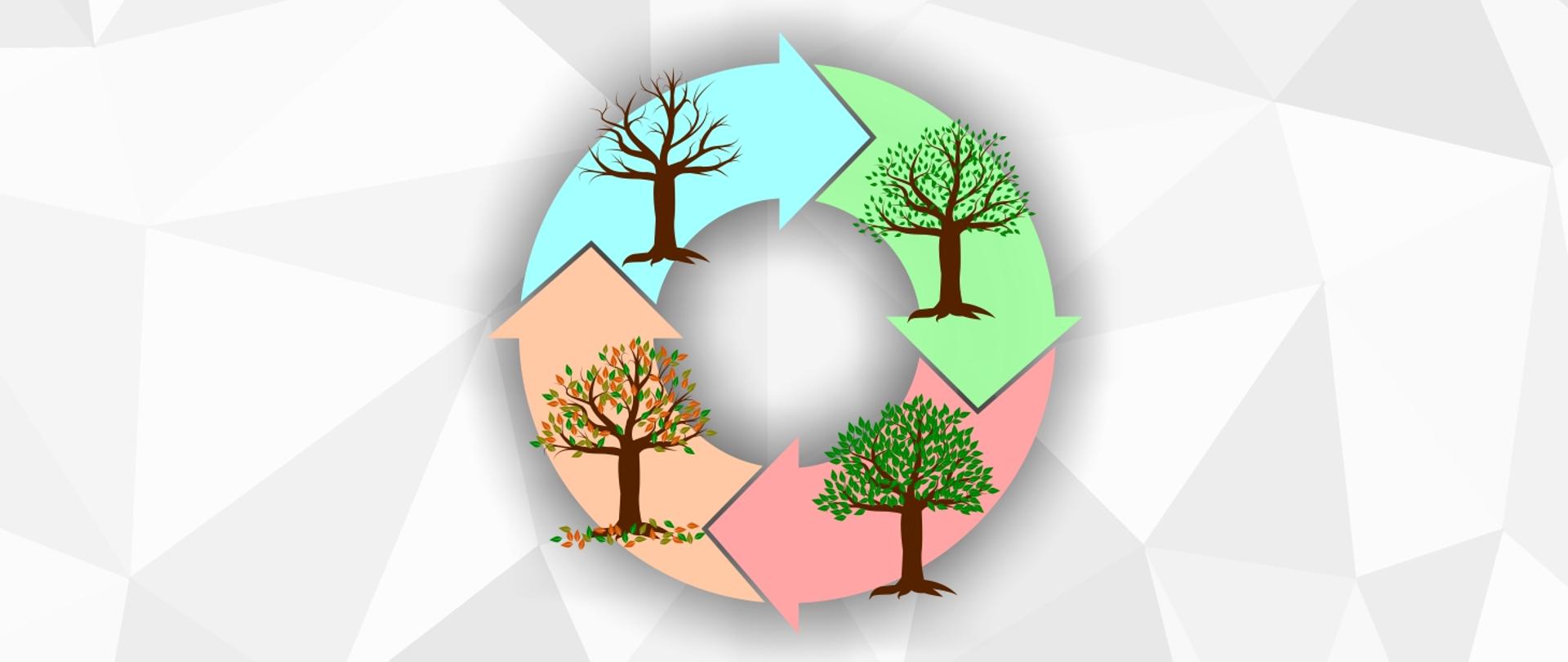 Koło zbudowane z czterech kolorowych strzałek - na każdej drzewo w odsłonie czterech pór roku.Całość na tle biało-szarych trójkątów.