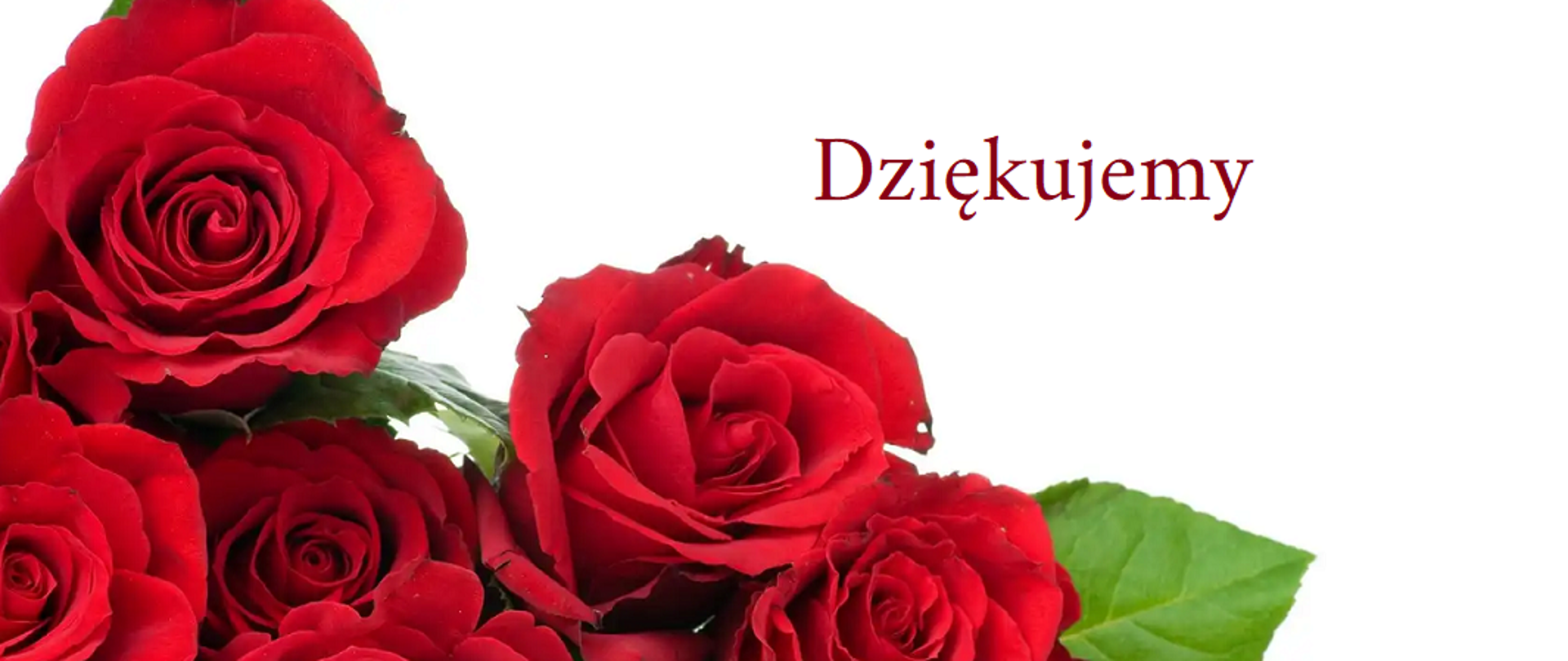 Podziękowanie