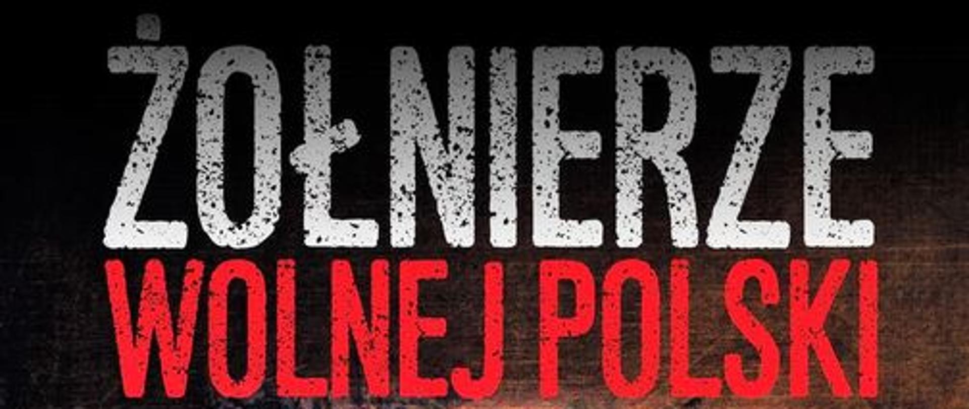 Plakat przedstawia grupę żołnierzy pozujących do zdjęcia. W górnej części plakatu umieszczono duży napis Żołnierze wolnej polski natomiast w dolnej części widnieje data 1 marca oraz tekst "Narodowy Dzień pamięci żołnierzy wyklętych" Na samym dole pieczęć "Instytutu pamięci narodowej"