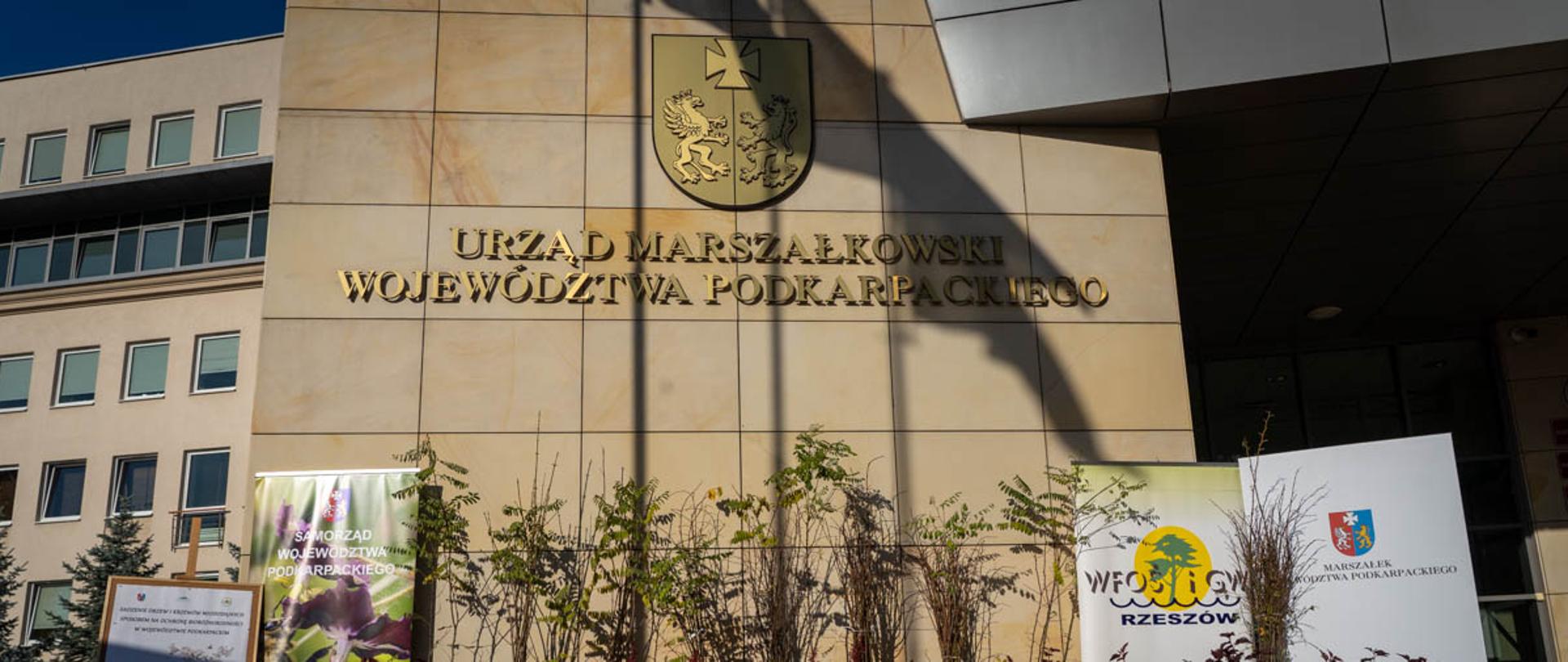 Dbamy o różnorodność i pszczoły