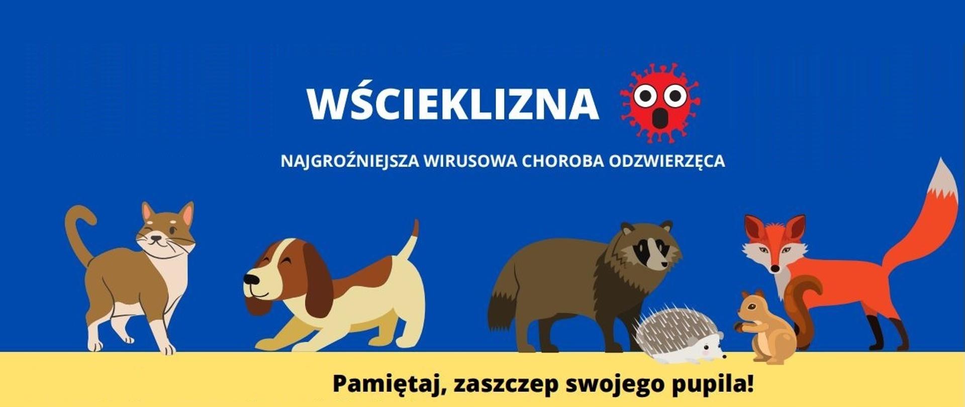 Wścieklizna 