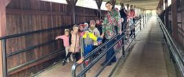 Zwiedzanie Rezerwatu Pokazowego Żubrów