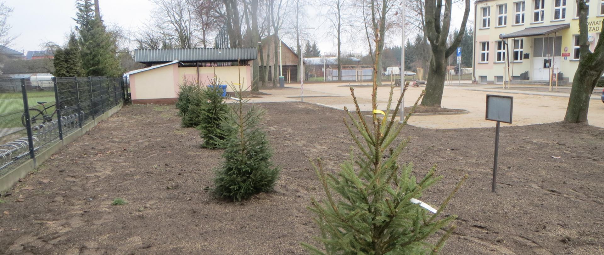 Teren na ul. Widowskiej 1 po przebudowie