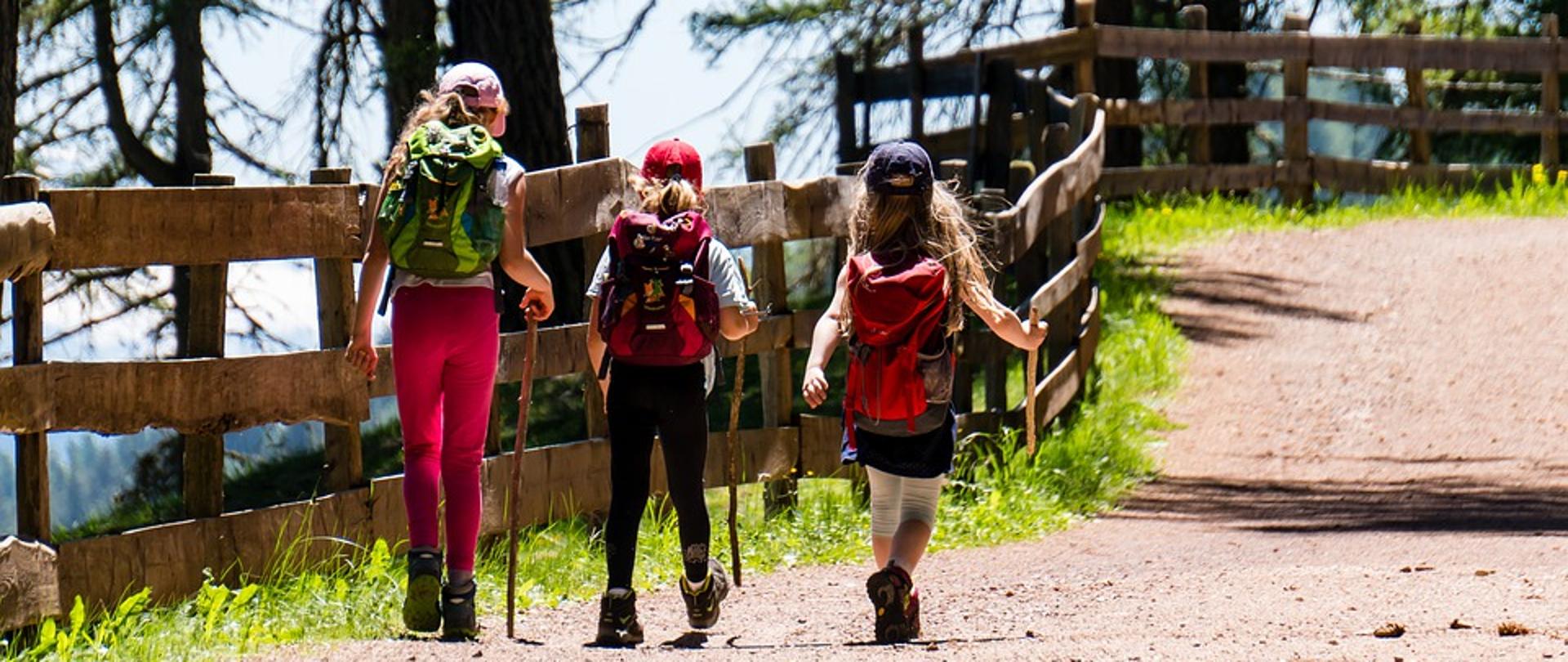 Grafika przedstawiająca dzieci podczas wyprawy - informacja zus 