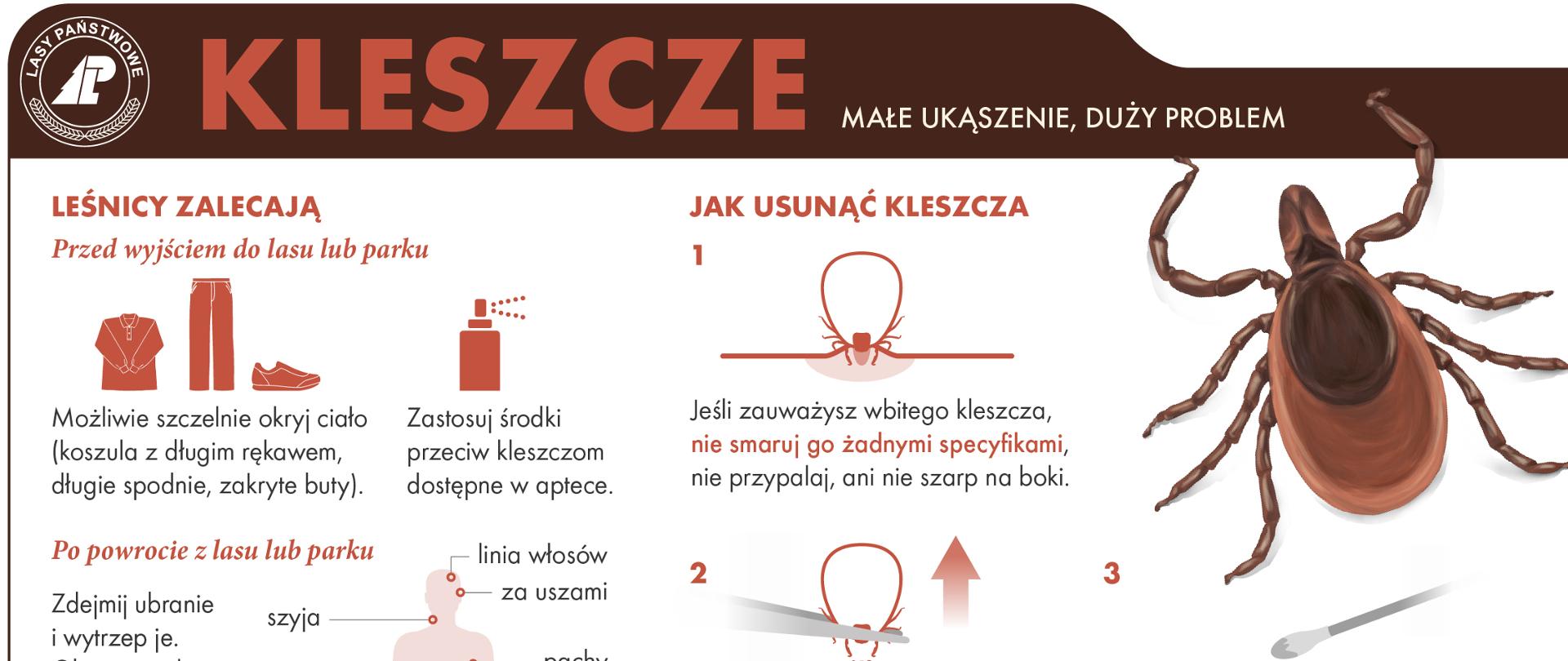 Infografika zawierająca kluczowe informacje na temat postępowania oraz klika faktów i mitów na temat kleszczy