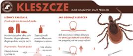 Infografika zawierająca kluczowe informacje na temat postępowania oraz klika faktów i mitów na temat kleszczy