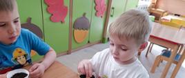 Dzieci przygotowują sadzonki