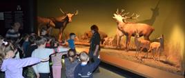 W trakcie zwiedzania Muzeum Przyrodniczo -Leśnego