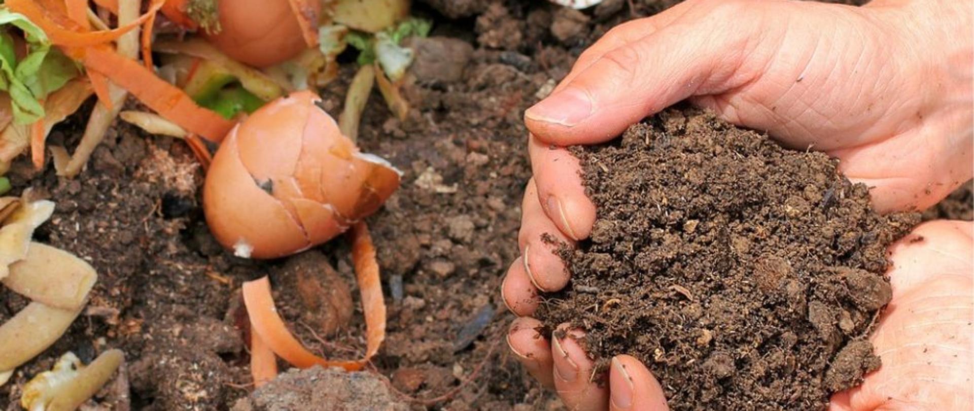 Złączone dłonie trzymają ziemię, obok nich skorupki jajek, obierki i inne odpadki kuchenne