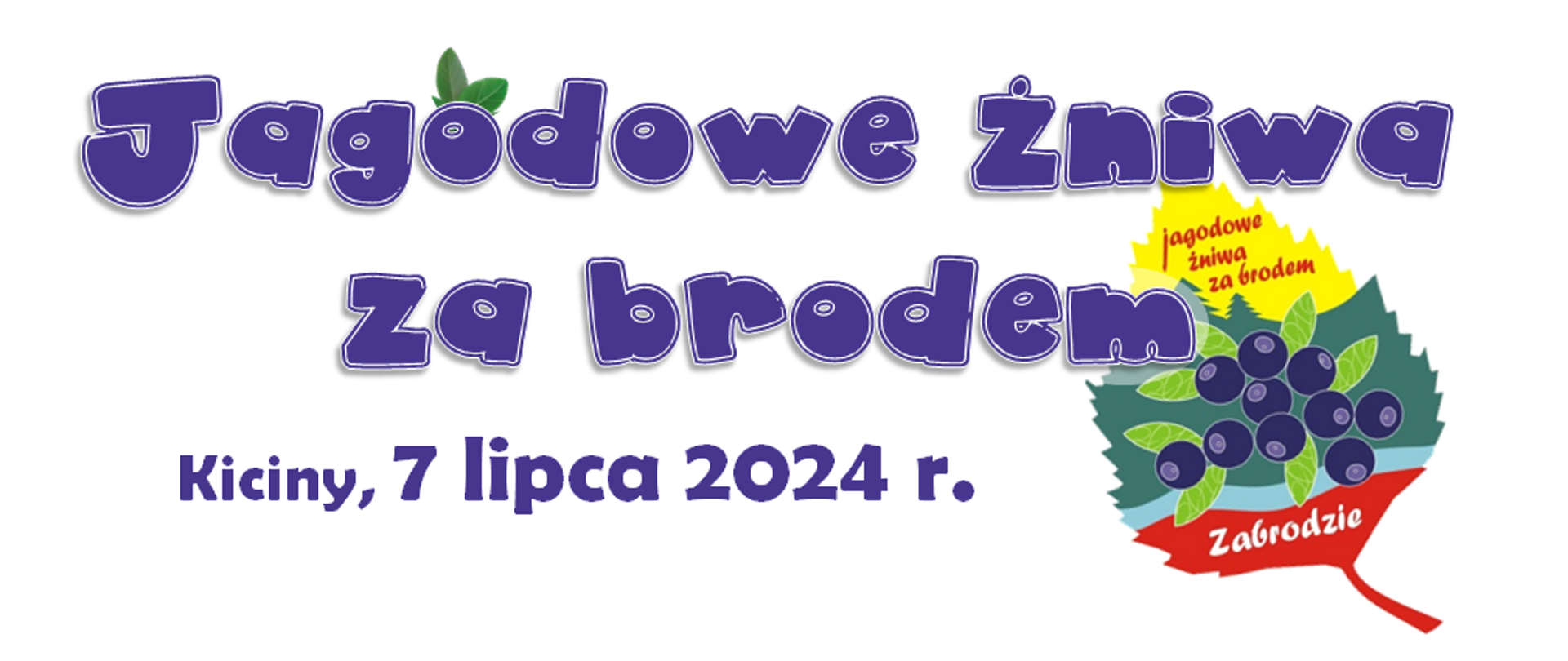 Liść w kolorze żółtym, zielonym i czerwonym z jagodami na nim. Jagodowe żniwa za brodem, Kiciny 7 lipca 2024 r