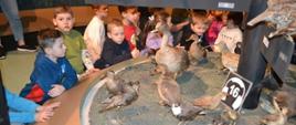 W trakcie zwiedzania Muzeum Przyrodniczo -Leśnego