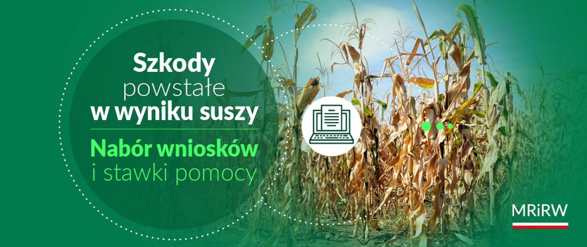 Informujemy, że od 29.02.2024 r. do 15.03.2024 r. producenci rolni, w których gospodarstwach rolnych szkody w uprawach rolnych spowodowane wystąpieniem w 2023 r. suszy, gradu, deszczu nawalnego, ujemnych skutków przezimowania, przymrozków wiosennych, powodzi, huraganu, pioruna, obsunięcia się ziemi lub lawiny w rozumieniu przepisów o ubezpieczeniach upraw rolnych i zwierząt gospodarskich wyniosły powyżej 30 % średniej rocznej produkcji roślinnej w gospodarstwie rolnym, mogą składać wnioski o udzielenie pomocy w formie dotacji do powierzchni upraw rolnych, na których ww. niekorzystne zjawiska spowodowały utratę co najmniej 30% plonu. 