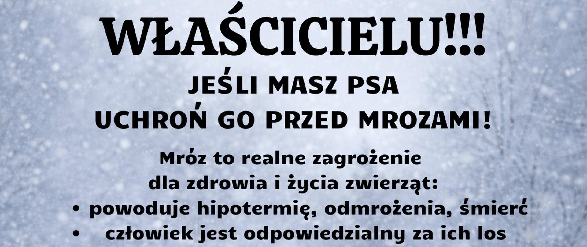 WŁAŚCICIELU!!! JEŚLI MASZ PSA
UCHROŃ GO PRZED MROZAMI!
