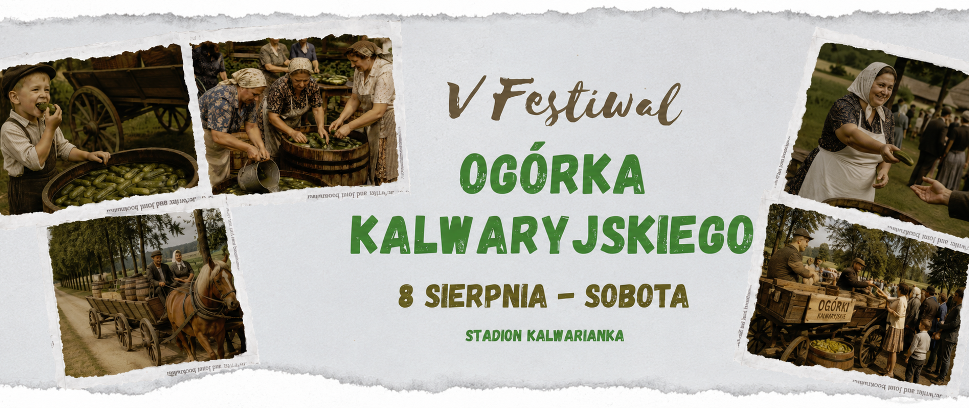 Plakat promujący V Festiwal Ogórka Kalwaryjskiego. W centralnej części znajduje się napis „V Festiwal Ogórka Kalwaryjskiego”, poniżej informacja o terminie wydarzenia – „8 sierpnia – sobota” oraz miejscu – Stadion Kalwarianka. Wokół umieszczono stylizowane fotografie nawiązujące do tradycji uprawy i kiszenia ogórków: dziecko jedzące ogórka przy drewnianej beczce, kobiety przygotowujące ogórki do kiszenia, przejazd wozem konnym oraz sceny rozdawania ogórków uczestnikom wydarzenia. Całość utrzymana jest w klimacie dawnych fotografii z dominacją odcieni zieleni i brązu, podkreślających regionalny i tradycyjny charakter festiwalu.