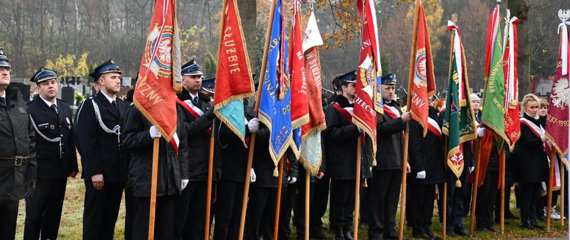 Obchody 11 Listopada