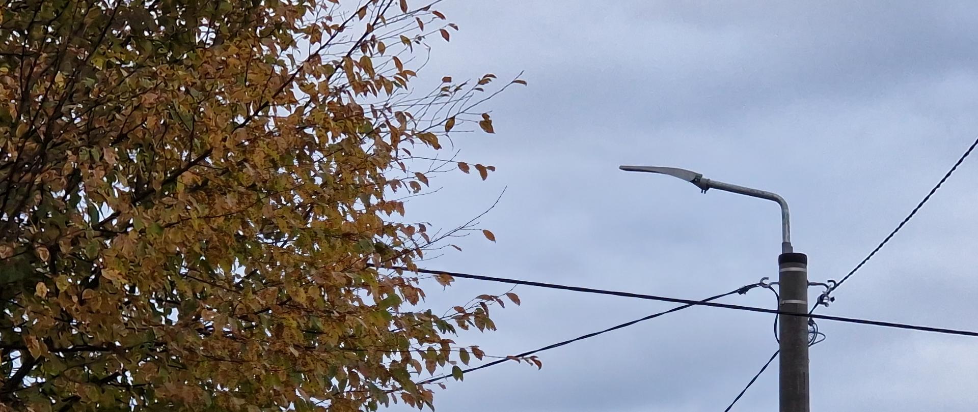 Odbiór prac związanych z budową oświetlenia ulicznego w Leńczach