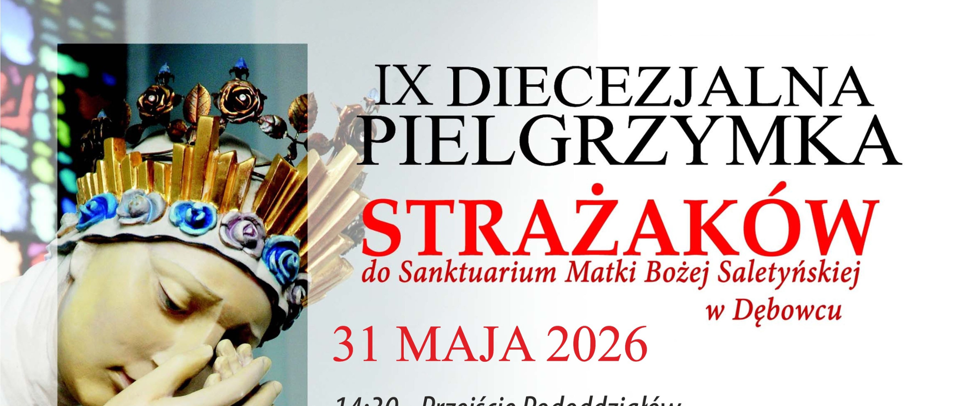 IX Diecezjalna Pielgrzymka Strażaków do Sanktuarium Matki Bożej Saletyńskiej w Dębowcu
