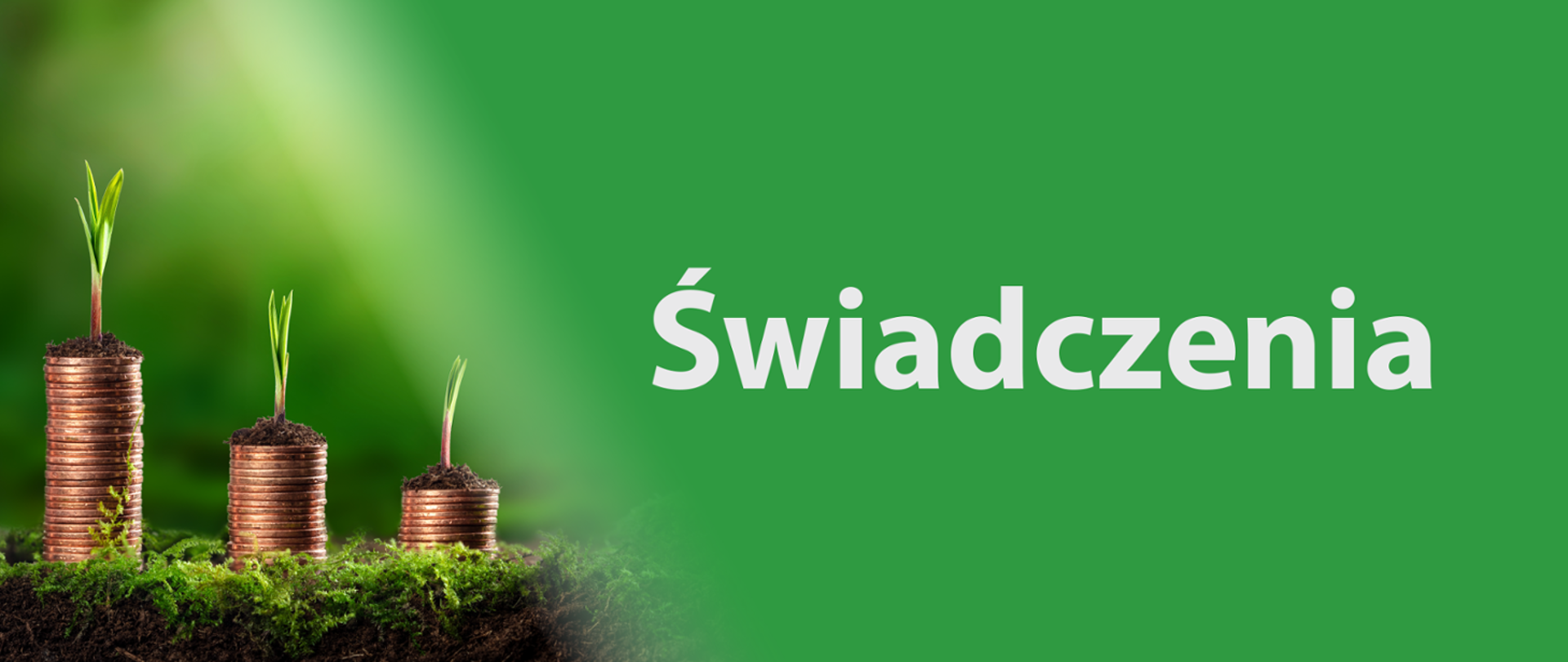 Logotyp z napisem Świadczenia