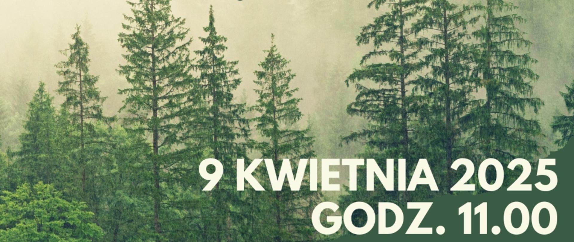 Tajemnice budzącego się lasu