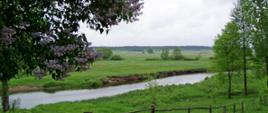 Rzeka Narew, Samułki (fot. B. Komarzewski)
