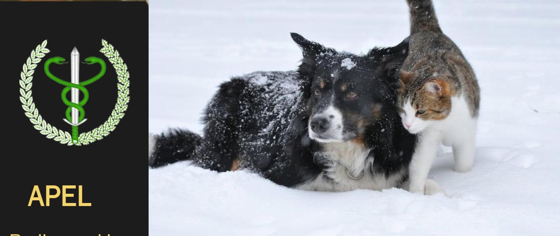 Apel zapewnienie humanitarnych warunków bytowych zwierząt