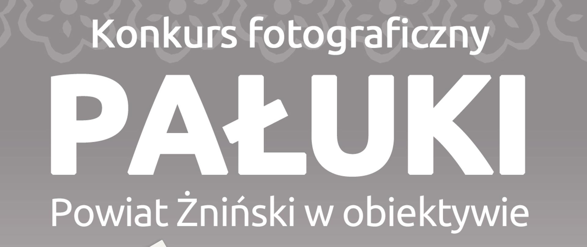Konkurs fotograficzny PAŁUKI - POWIAT ŻNIŃSKI W OBIEKTYWIE - plakat