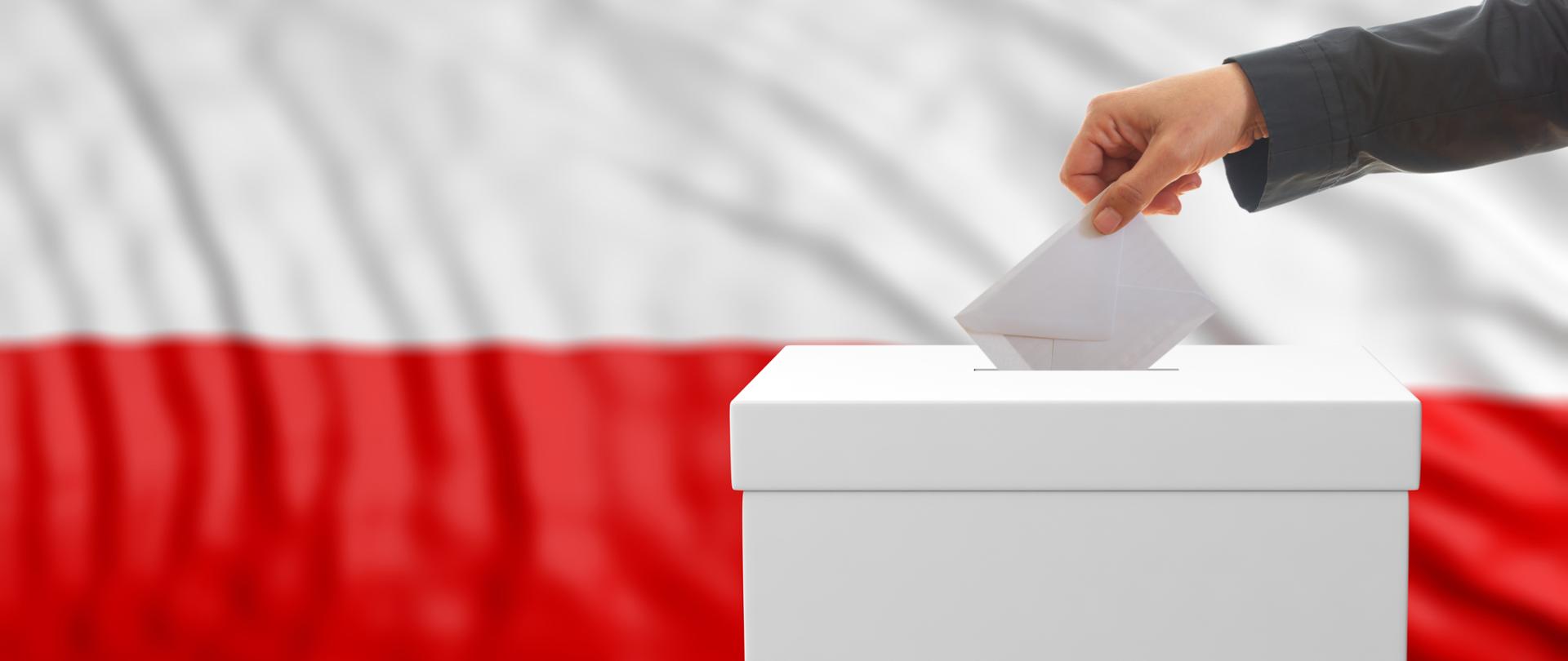 Voter on an waiving Poland flag background. 3d illustration