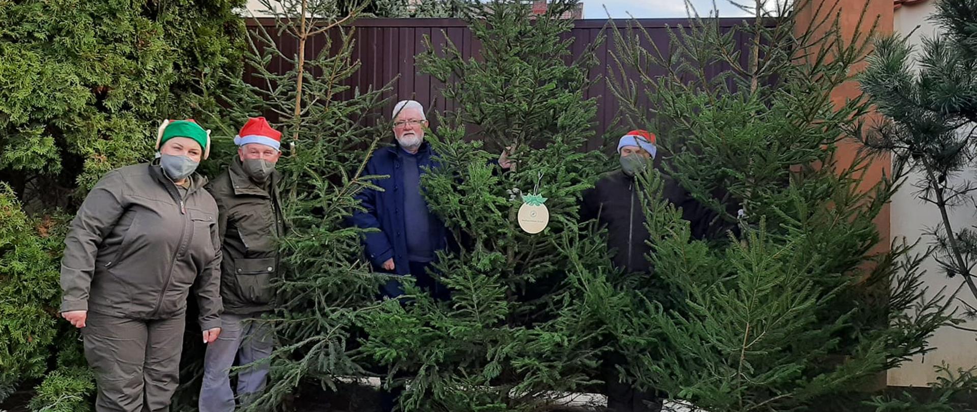 Nadleśnictwo Krzyż