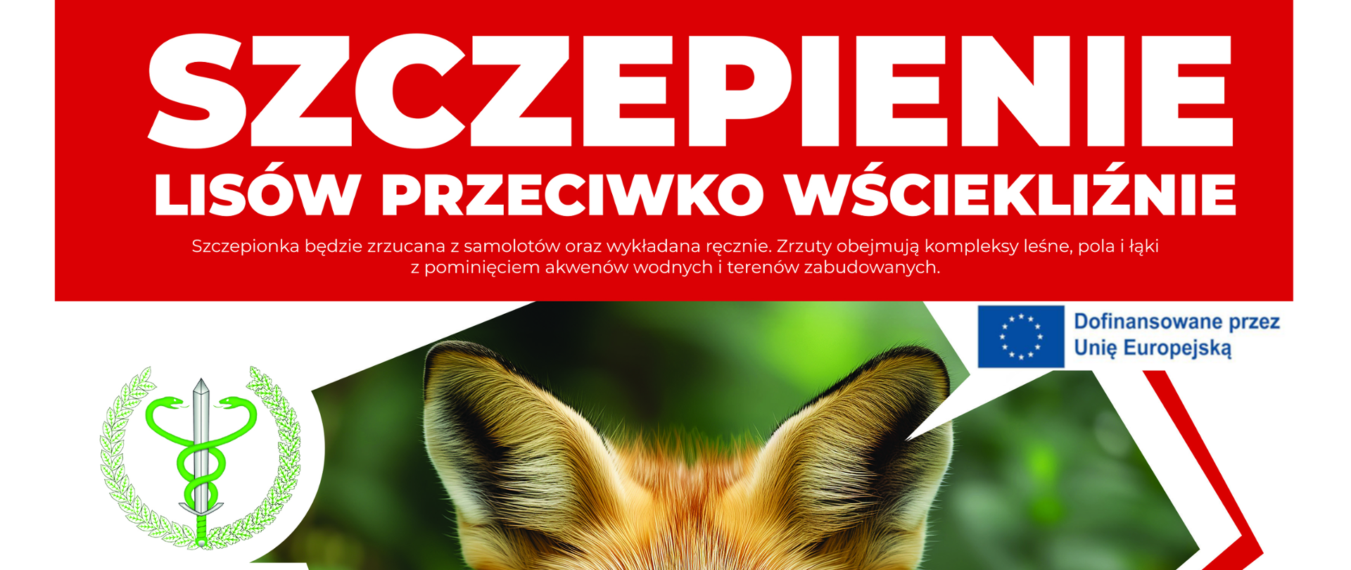 Szczepienie lisów