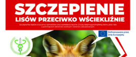 Szczepienie lisów