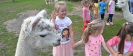 Dzieci stoją przy alpakach