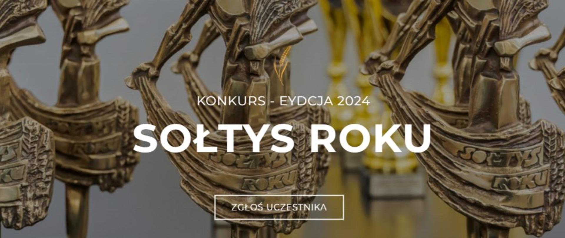 Sołtyska/Sołtys Roku 2024