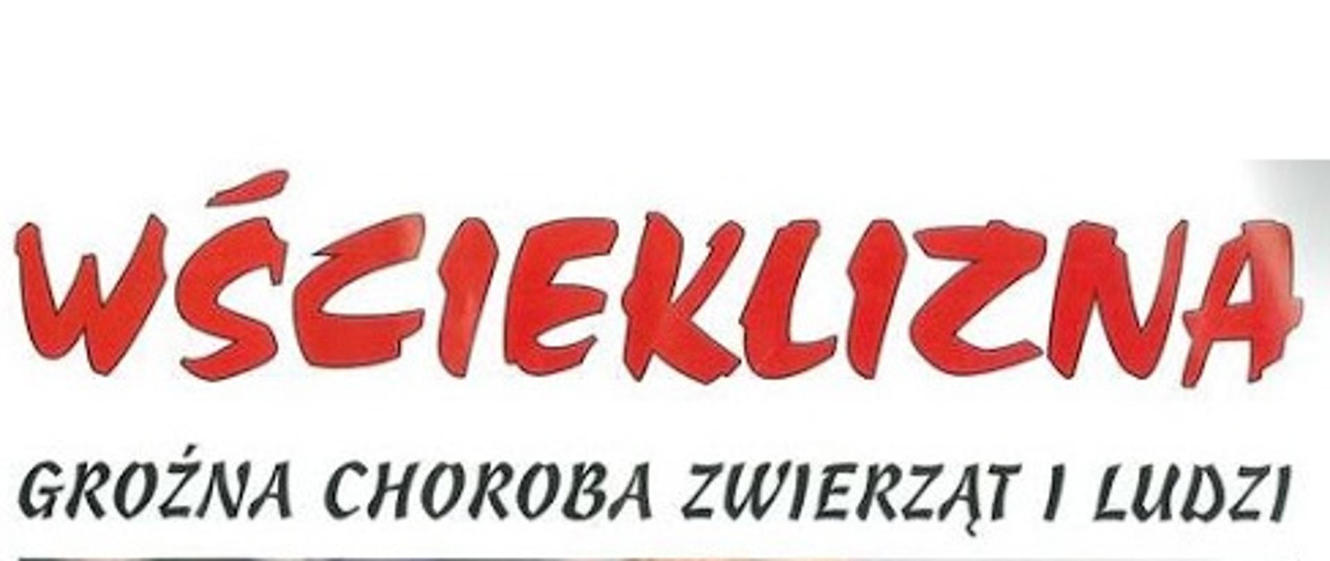 wscieklizna