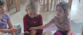Dzieci oglądają swoje kasztany w przedszkolnej sali